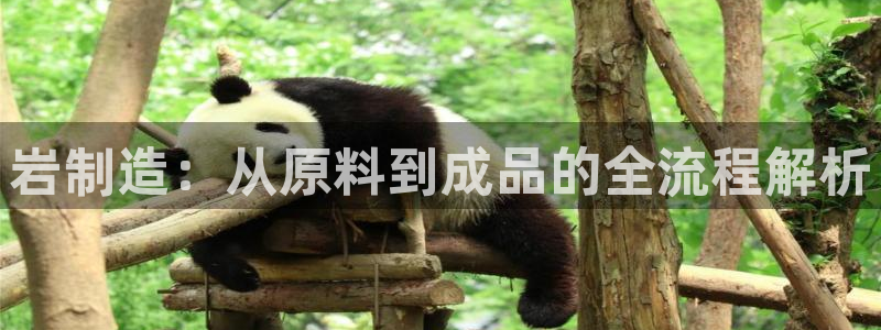 彩神v8有多久了?靠谱吗：岩制造：从原料到成品的全流程解析