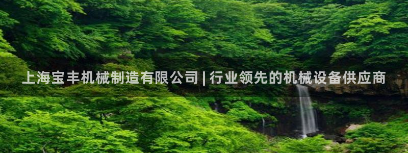 大发彩神最高邀请码：上海宝丰机械制造有限公司 | 行业领先的