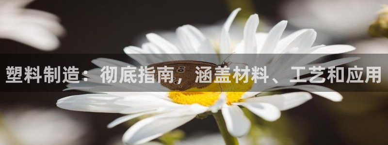 所有彩神购买首页都一样吗：塑料制造：彻底指南，涵盖材料、工艺和应用